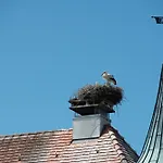 Zum Schloss - Boutique-hotel