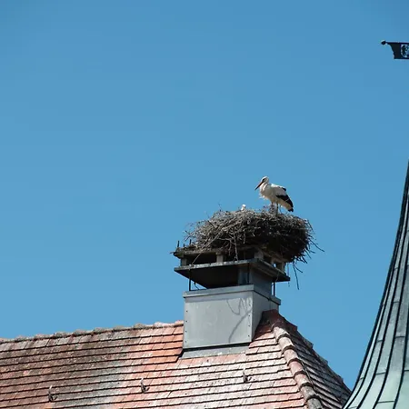 Zum Schloss - Boutique-hotel