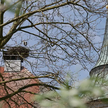 Zum Schloss - Boutique-hotel Hotel
