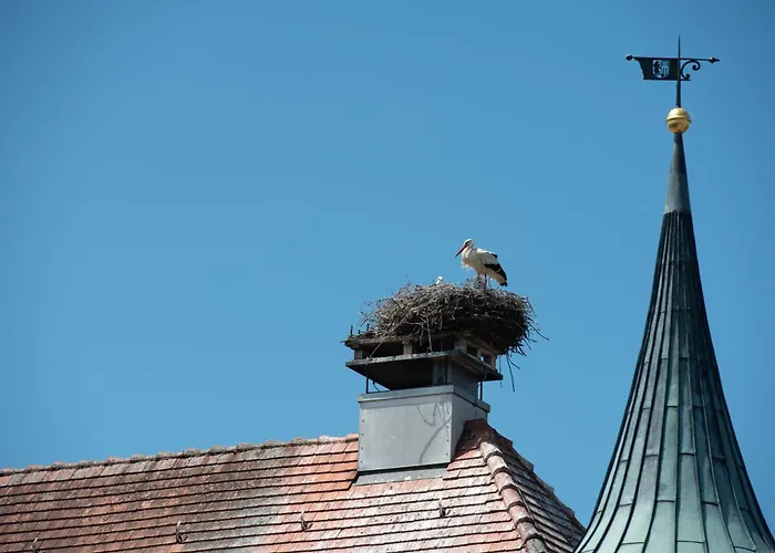 Zum Schloss - Boutique-Hotel